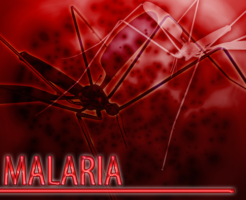 The Fight Against Malaria in Africa