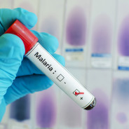 Further Malaria Studies Needed Before Approval