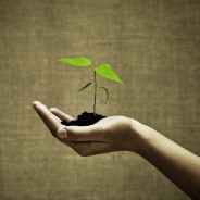 Turn Your Gardening Hobby into a Charity