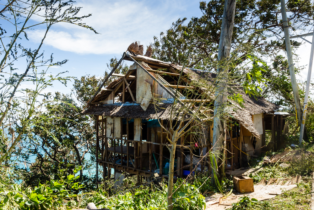 Avoid Charity Scams Blossoming from Typhoon Haiyan