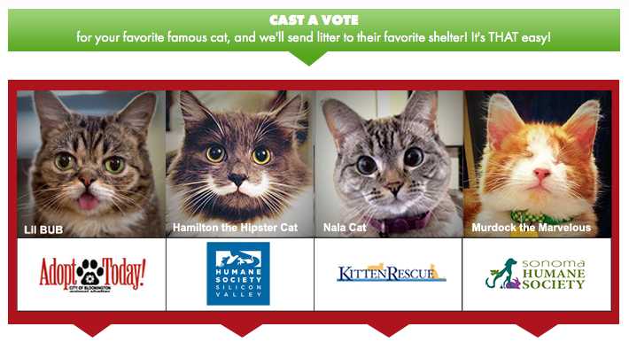 Famous Cats to Team Up for “Give Litter” Online Charity Event
