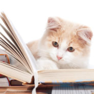 Children Read to Cats in Adorable ‘Book Buddies’ Program
