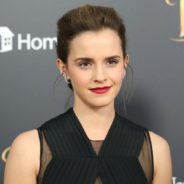 Emma Watson Makes Hefty Donation to Justice and Equality Fund