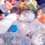 21 Years of Bottle Deposits Adds Up to $15,000 Donation